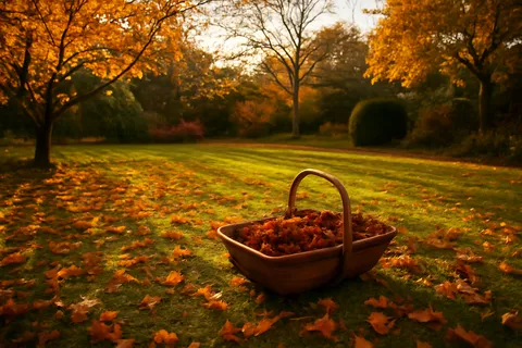 Garden in autumn with leaves being cleared and borders cut back