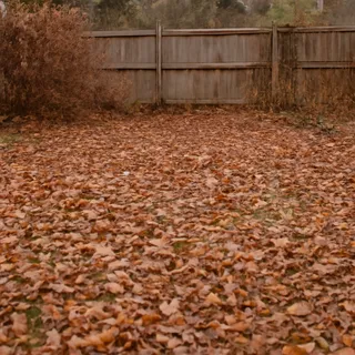Before — end of autumn, garden overgrown and leaf-covered
